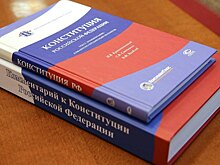 Конституция досталась авторам «суверенного Рунета»