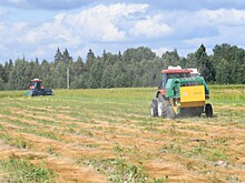 Работники сельского хозяйства отмечают профессиональный праздник