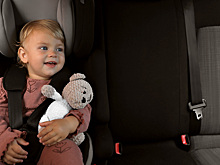 Штраф за перевозку детей без автокресел ужесточен до 200 тысяч рублей