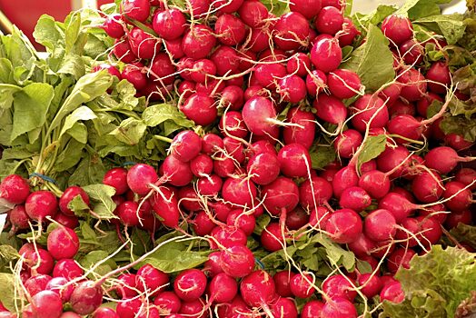 Врач Лебедева объяснила, какие продукты усугубляют панкреатит