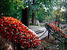 Ложная тревога: инцидента с пьяными подростками на кладбище Кубани не было