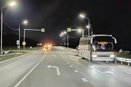 Автобус сбил на трассе бердского депутата Светлану Уварову