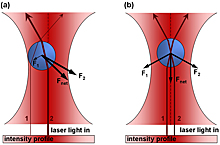 Нобелевка по физике: оптический пинцет и чирпированные импульсы