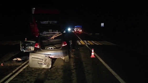 Женщина-водитель иномарки погибла на встречке в Семеновском районе