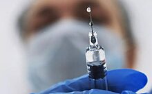 Скворцова: ФМБА создало вакцину против оспы обезьян