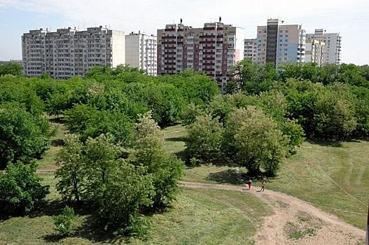 В Краснодаре проект парка в «Молодежном» планируют разработать до осени