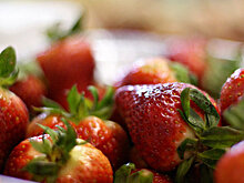 В Забайкалье осудили садовода, убившего детей из-за кражи ягод