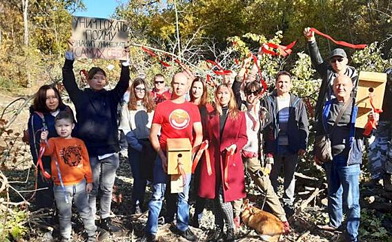 Письма в Париж: ЮНЕСКО зря поверила волгоградским чиновникам