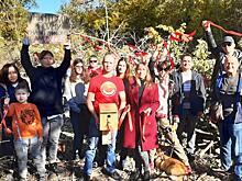 Письма в Париж: ЮНЕСКО зря поверила волгоградским чиновникам