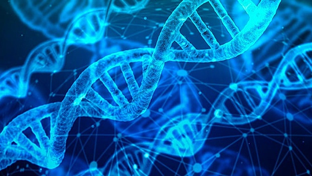 Обнаружены следы ДНК неизвестного вида человека