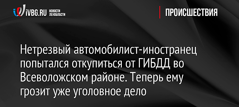 Нетрезвый автомобилист-иностранец попытался откупиться от ГИБДД во Всеволожском районе. Теперь ему грозит уже уголовное дело