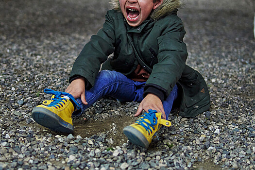 В&nbsp;Москве оштрафовали няню, укусившую ребенка