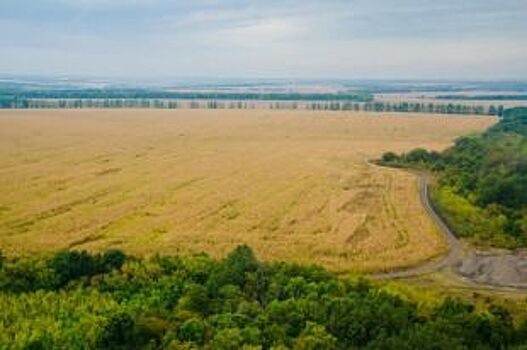 «Мираторг» вернет в сельхозоборот порядка 800 га заброшенных земель