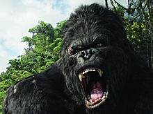 Кинг-Конга перенесут с больших экранов на телевидение