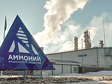 ВЭБ.РФ продаст долг "Аммония" на $900 млн структуре Романа Троценко