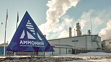 ВЭБ.РФ продаст долг "Аммония" на $900 млн структуре Романа Троценко