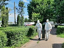 Курск продолжают обрабатывать от клещей