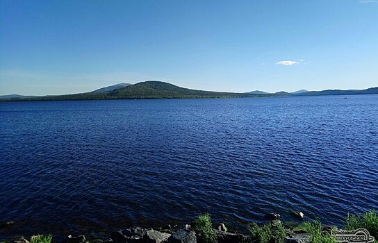 В Курганской области будут разводить ценные виды рыб