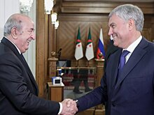 Вячеслав Володин и Абдельмаджид Теббун обсудили развитие межпарламентских отношений России и Алжира
