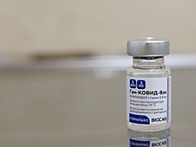 В Петербург поступила очередная партия вакцины от коронавируса объемом 20 тыс. доз