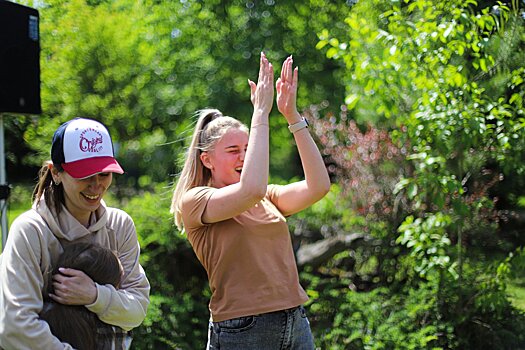 В прошлом году в Подмосковье нашли работу свыше 20 тысяч подростков