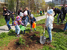 «Сквер Славиной» в Нижнем Новгороде планируют назвать в честь советского архитектора