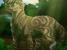 В каком порядке читать серию книг «Коты-воители»