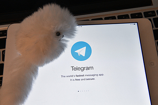 В России перестал работать Telegram