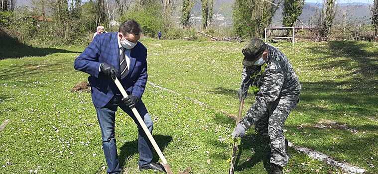 Абхазия стала участником акции «Сад памяти»