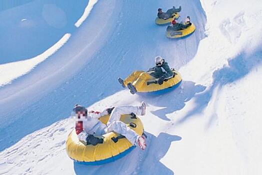 Саратовские следователи возбудили дело о травмировании ребенка на тюбинге