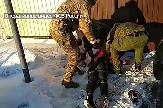 Задержание заподозренного в госизмене россиянина попало на видео
