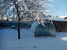 Часть Тверской области засыпало снегом