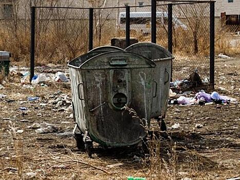 Депутат о вывозе мусора в Забайкалье: «Куда вывозить мусор?!»