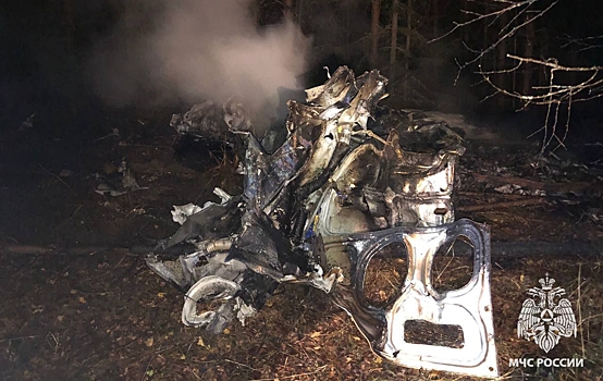 Найдено тело четвертого погибшего при крушении вертолета в&nbsp;Кировской области