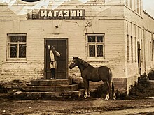 Заработала выставка «Свияжский ковчег». С атмосферными снимками Канаева и Губаева