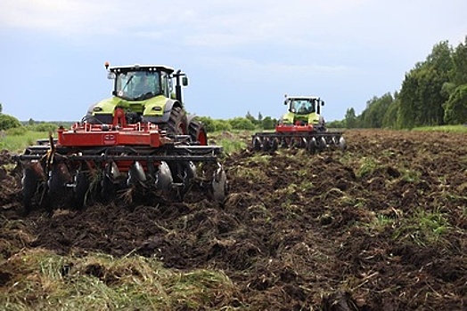 Сельхозпроизводители Подмосковья получили 2 тыс га земель в качестве поддержки отрасли