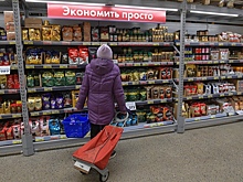 В РАН оценили последствия «перезапуска» продуктовых талонов в России
