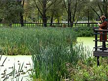 В Музее Москвы обсудили будущее бывших промзон