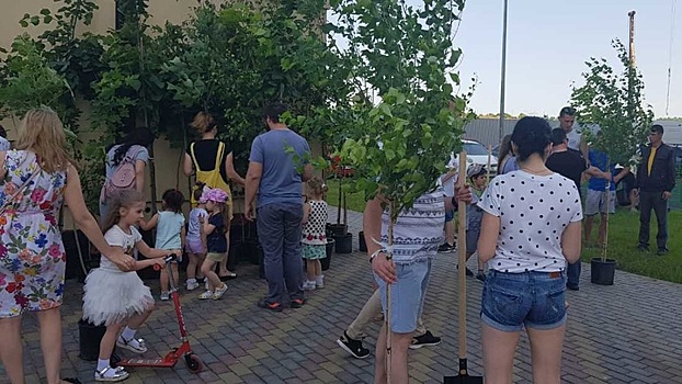 Компания АСК провела в Краснодаре акцию «Посади дерево в своем дворе»