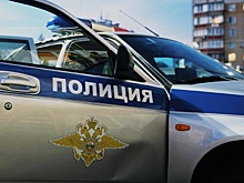 В Новосибирской области уволили троих полицейских за организацию незаконного канала миграции