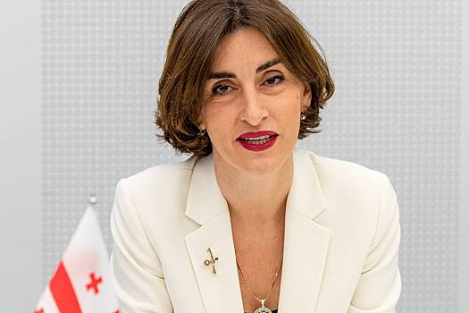 В Грузии высказались о введении санкций против России