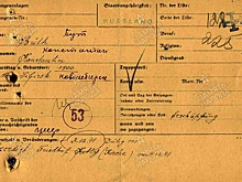 Поисковики установили имена 160 узников концлагеря, обнаруженного в Ленобласти