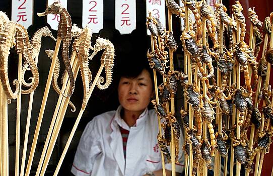 «Даже смотреть тошно». Какая еда шокирует российских туристов в других странах