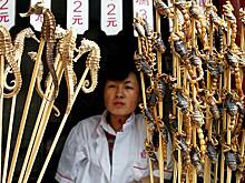 «Даже смотреть тошно». Какая еда шокирует российских туристов в других странах