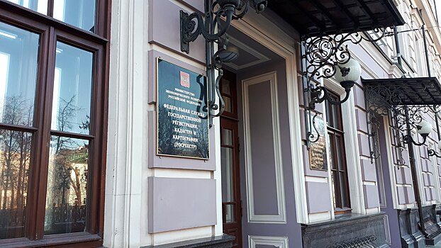 Росреестр сообщил о 46 мошеннических копиях своего сайта