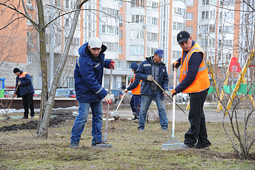 «Могут вернуться на родину»: в Госдуме оценили инициативу приравнять трудовых мигрантов к гражданам РФ