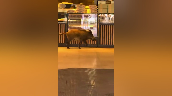 �������&nbsp; ����� ������� ��������� �� ������� ����� � ���������