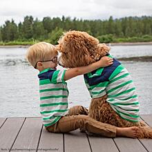 Хвостатый нянь: история дружбы собаки и ребёнка, покорившая Сеть