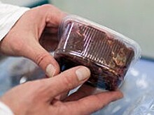 В Кстове построят цех по производству мясной продукции