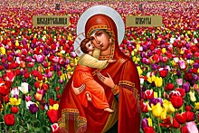 На выставке "Лики Марии — Образы Света" представят мультимедийные и голографические иконы